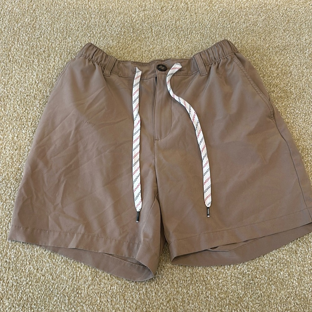 Chubbies Men’s Size S 6 in-seems shorts